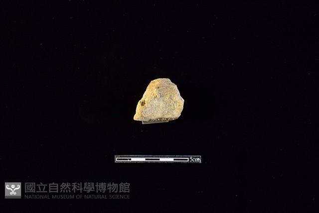 陶片藏品圖，第2張