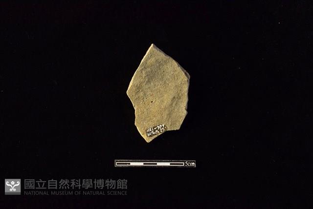 陶片藏品圖，第2張