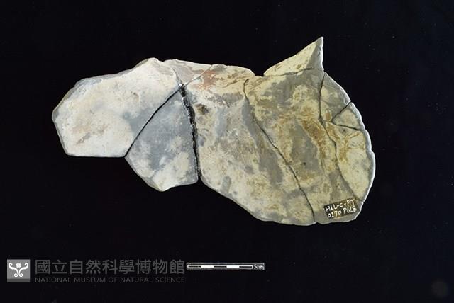 陶罐藏品圖，第2張