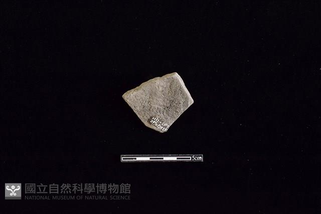 陶片藏品圖，第2張