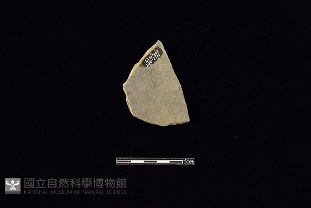 陶片藏品圖，第2張