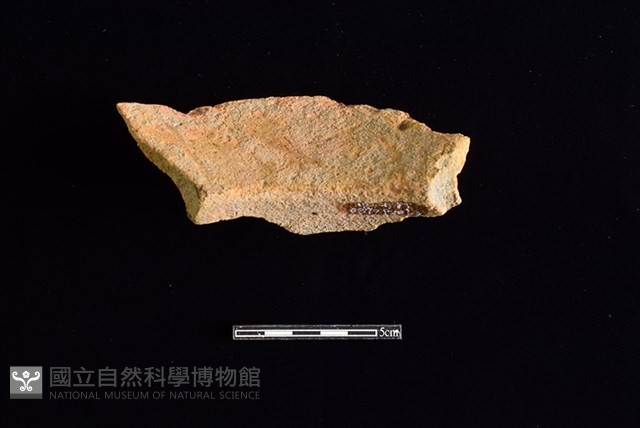陶罐藏品圖，第2張