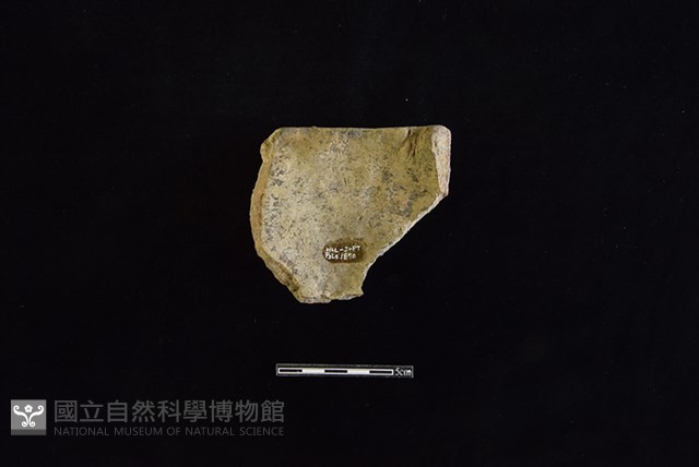 陶缽藏品圖，第2張