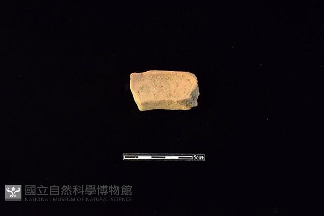 Accession Number:HLL-H PT0370 Collection Image, Figure 2, Total 2 Figures