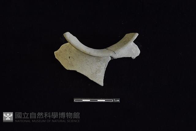 陶罐藏品圖，第2張