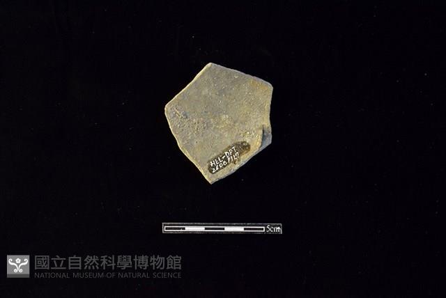 陶片藏品圖，第2張