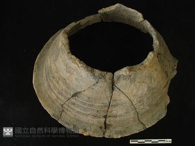 陶片藏品圖，第2張