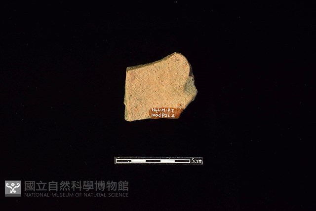 陶片藏品圖，第2張