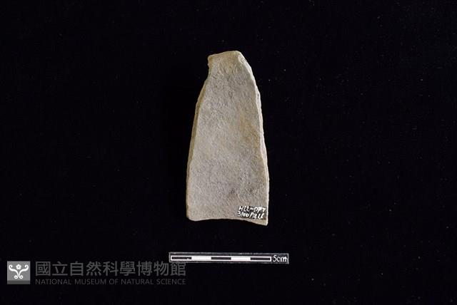 Accession Number:HLL-D PT3100 Collection Image, Figure 2, Total 2 Figures