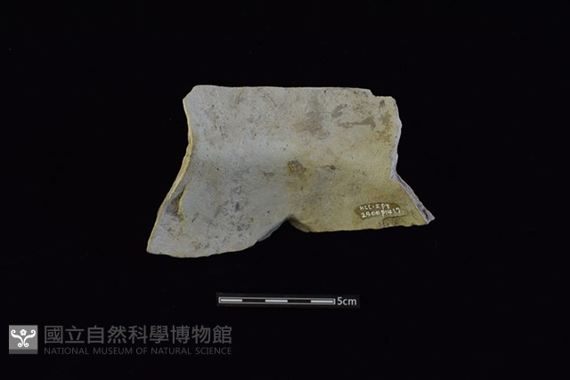 陶罐藏品圖，第2張
