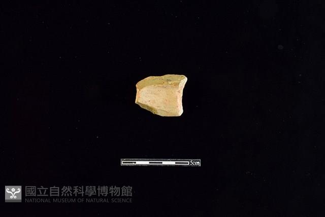 陶片藏品圖，第2張