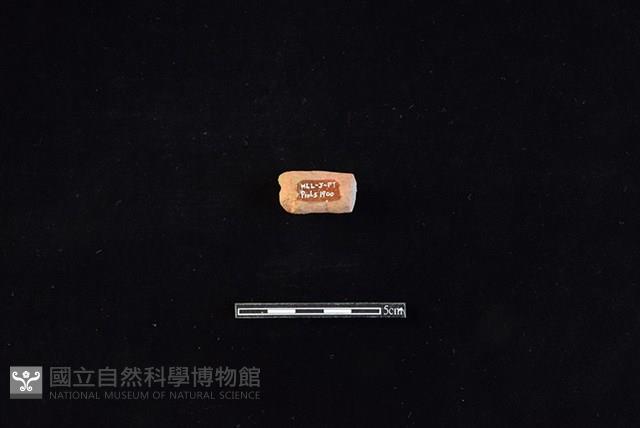 陶把藏品圖，第2張