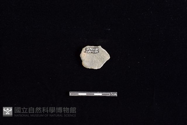 陶片藏品圖，第2張