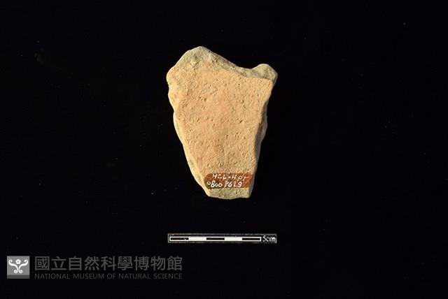 Accession Number:HLL-H PT0800 Collection Image, Figure 2, Total 2 Figures