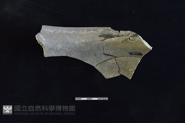 陶罐藏品圖，第2張