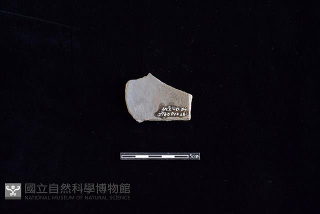 陶片藏品圖，第2張