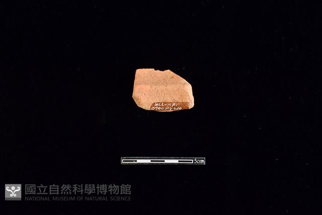 陶罐藏品圖，第2張