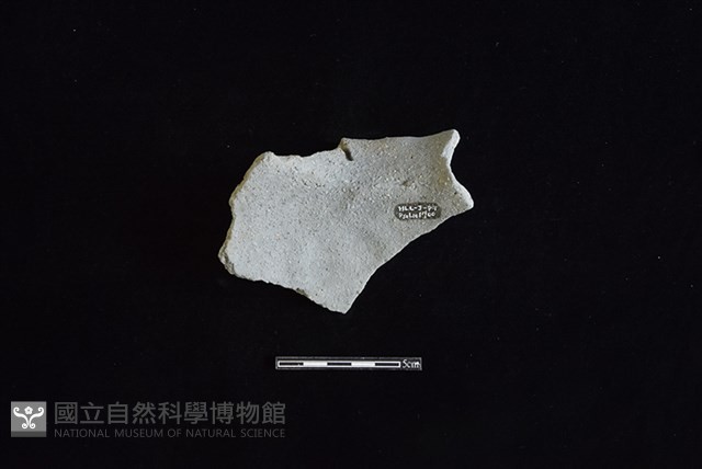 陶罐藏品圖，第2張