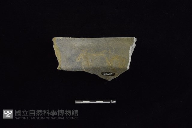 陶罐藏品圖，第2張