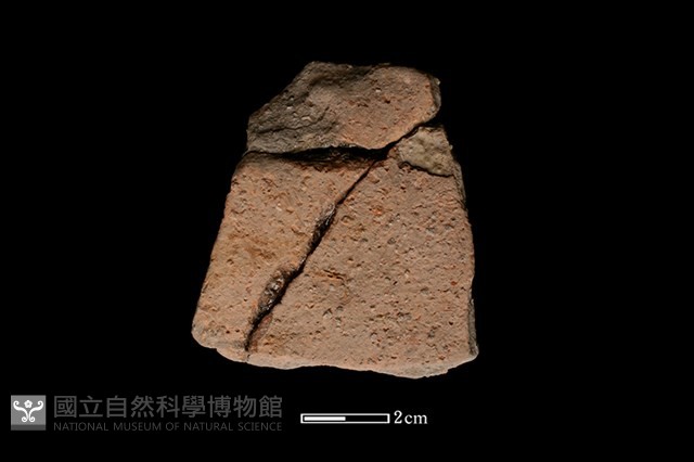 陶片藏品圖，第2張