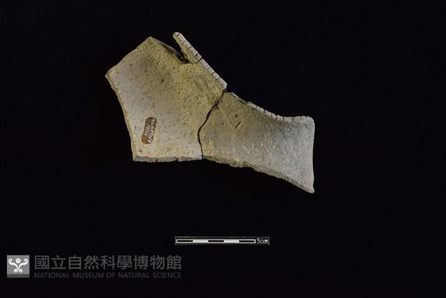 陶瓢藏品圖，第2張