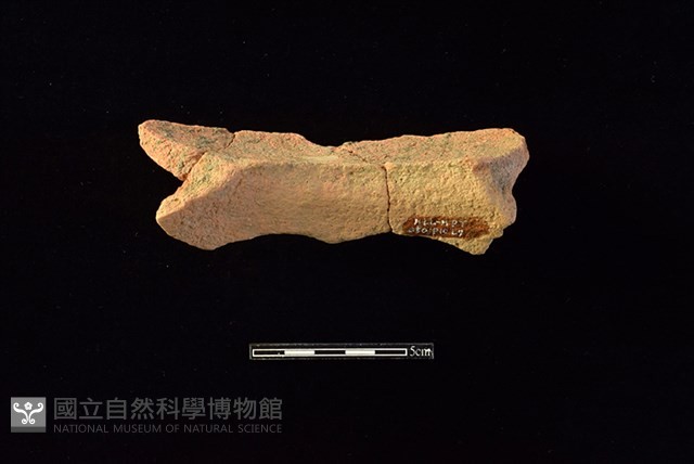 陶罐藏品圖，第2張