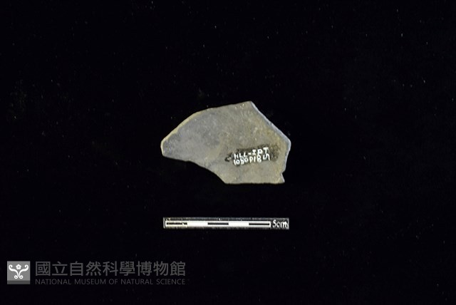 陶片藏品圖，第1張