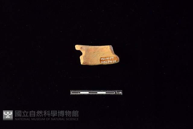 陶片藏品圖，第2張