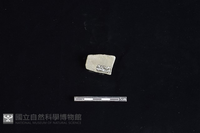 陶片藏品圖，第2張
