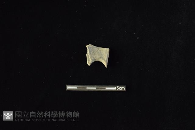 陶甑藏品圖，第2張