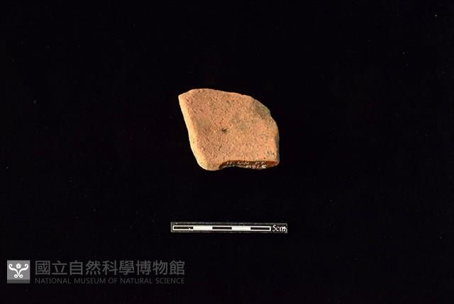 Accession Number:HLL-H PT0450 Collection Image, Figure 2, Total 2 Figures