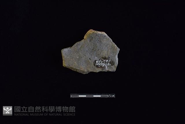 Accession Number:HLL-J PT1450 Collection Image, Figure 2, Total 2 Figures