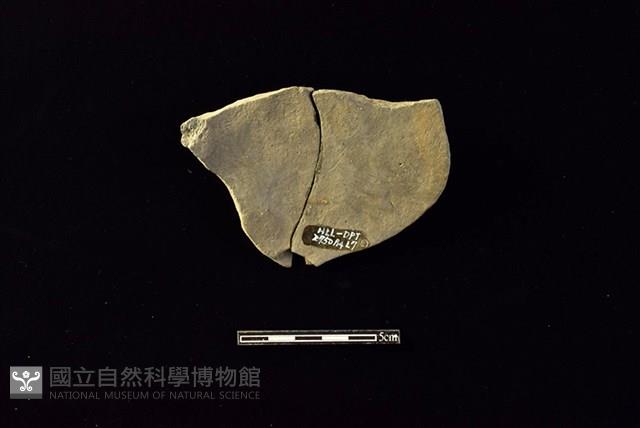 陶片藏品圖，第2張