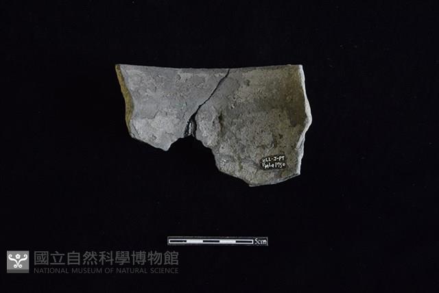 Accession Number:HLL-J PT1750 Collection Image, Figure 2, Total 2 Figures