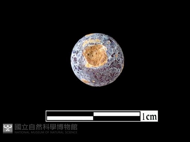 玻璃珠藏品圖，第2張