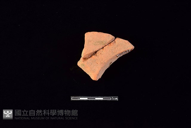 連杯形器藏品圖，第2張