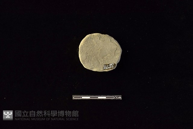 陶片藏品圖，第2張