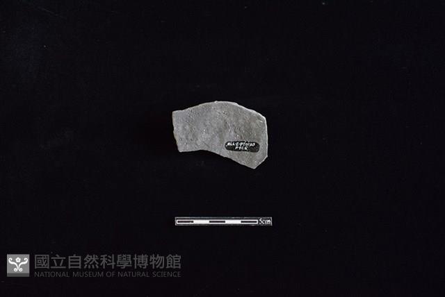 陶片藏品圖，第2張