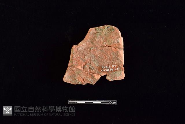 連杯形器藏品圖，第2張