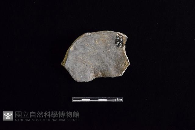 陶片藏品圖，第2張