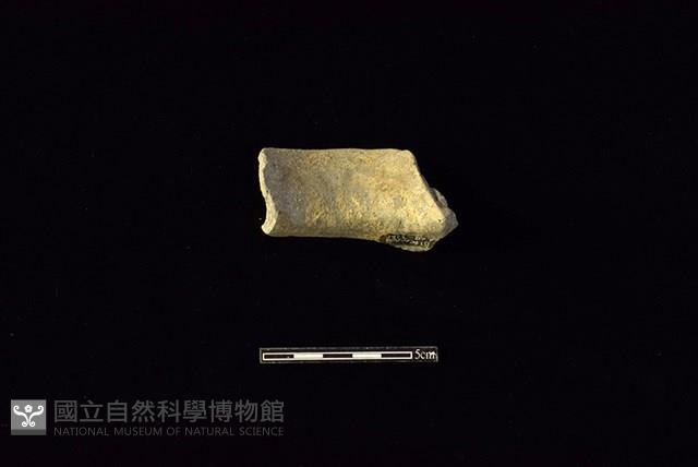 陶罐藏品圖，第2張