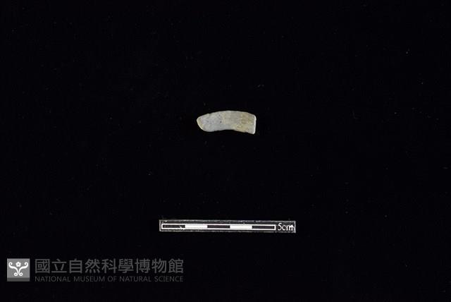 陶環藏品圖，第2張