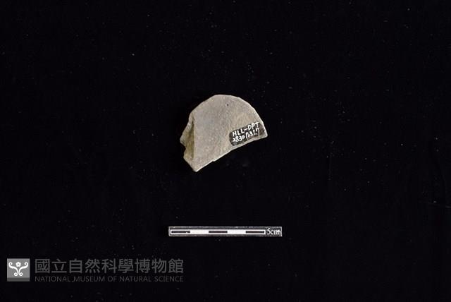 陶片藏品圖，第2張