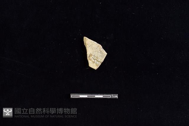 陶片藏品圖，第2張