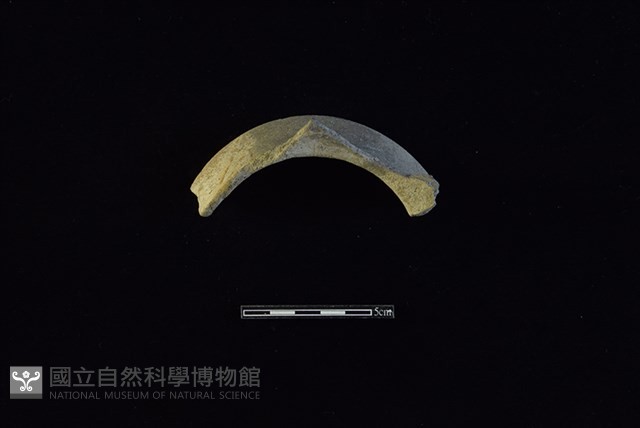 陶罐藏品圖，第2張