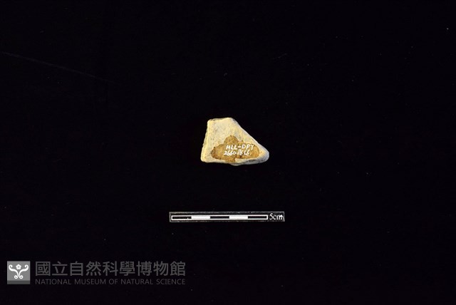 陶片藏品圖，第2張