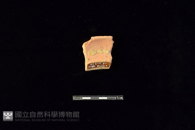 陶罐藏品圖，第2張