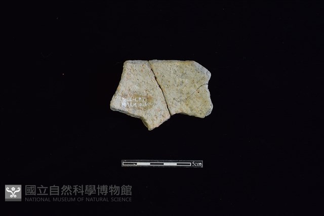 陶片藏品圖，第2張