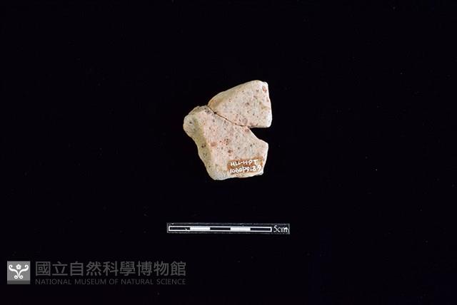 陶片藏品圖，第2張