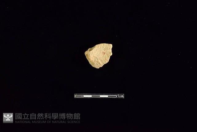 陶罐藏品圖，第2張